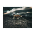 Drone Cow - Stretched Canvas