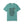 Not My First Rodeo - Comfort Colors Tee